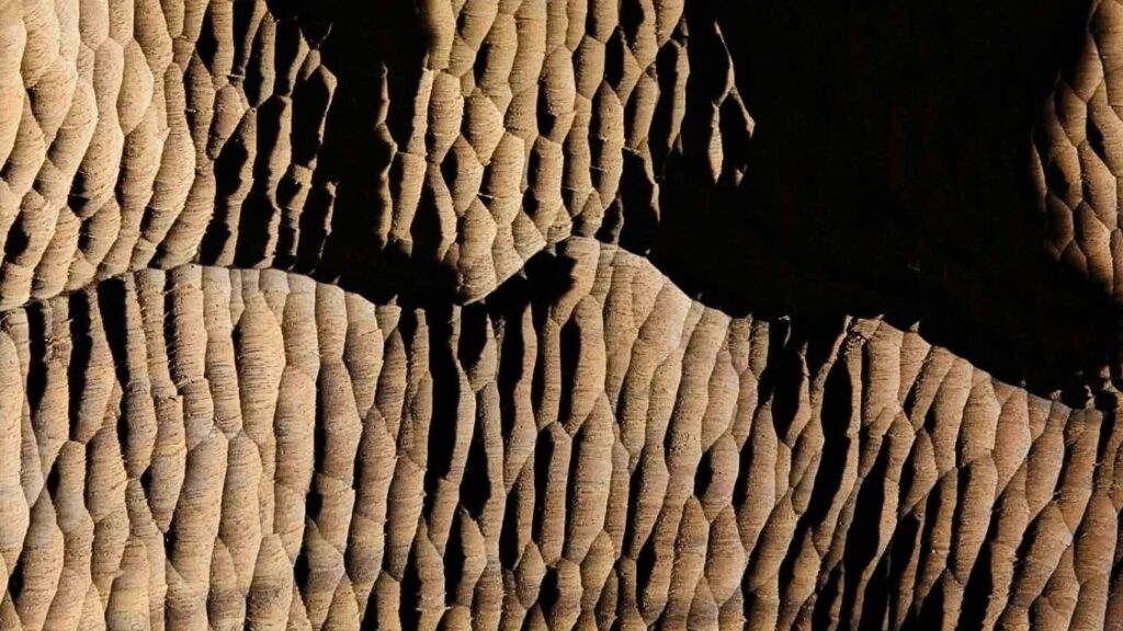 In Search of Waters Memory and the Invisible Current Sumon Barmans Inflow gallery halkhata