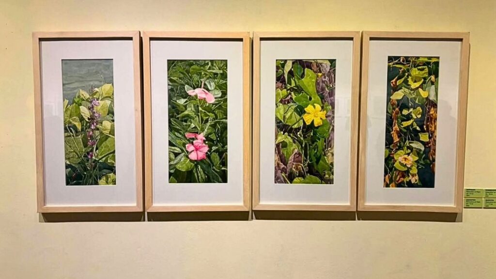 The Splendour of Green: An Invitation to See Nature Anew